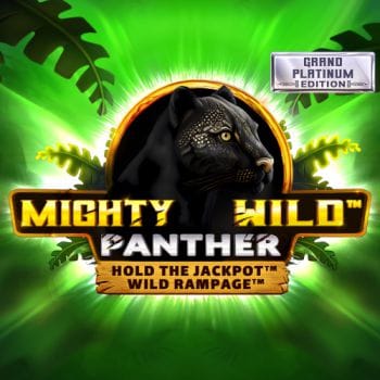 Mighty Wild™_ Panther Grand Platinum Edition game screenshot